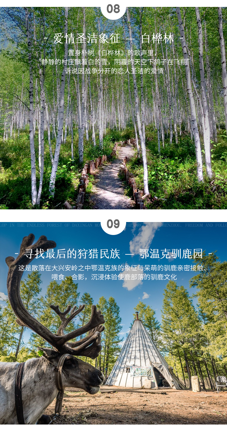 778详情_10